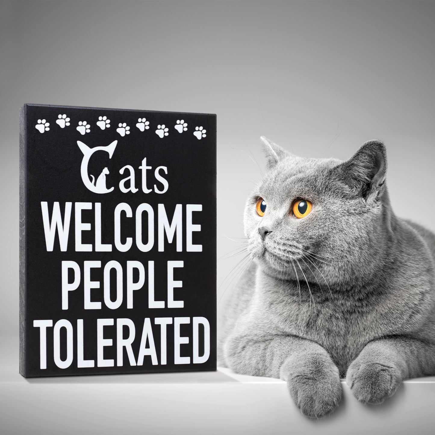 JennyGems Cats Welcome People Tolerated Sign – Funny Cat Lover Gift for Women and Men Rustic Wooden Wall Shelf Decor - Cat Wall Art for Home Farmhouse and Christmas Gift