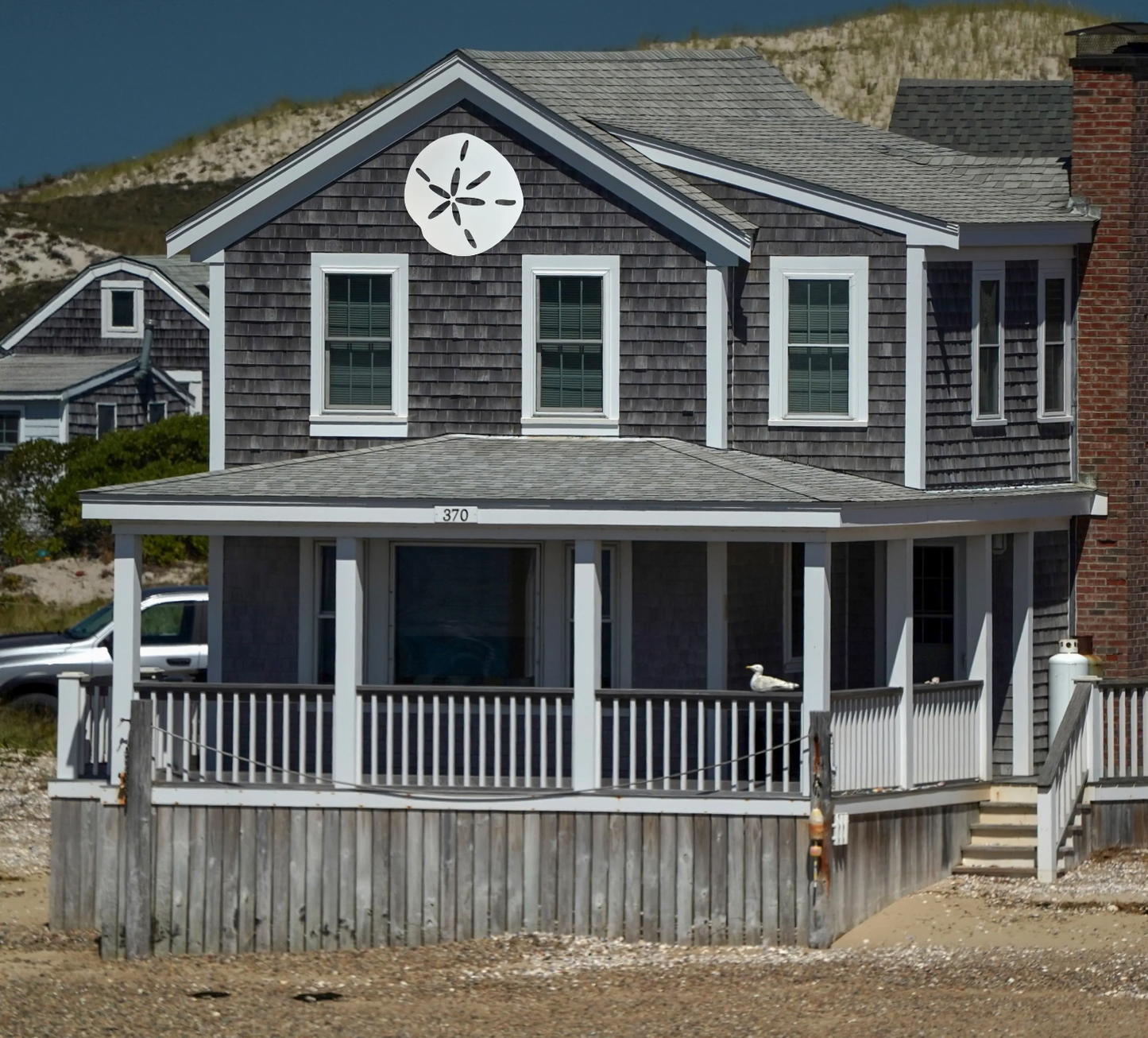 Sanddollar Option