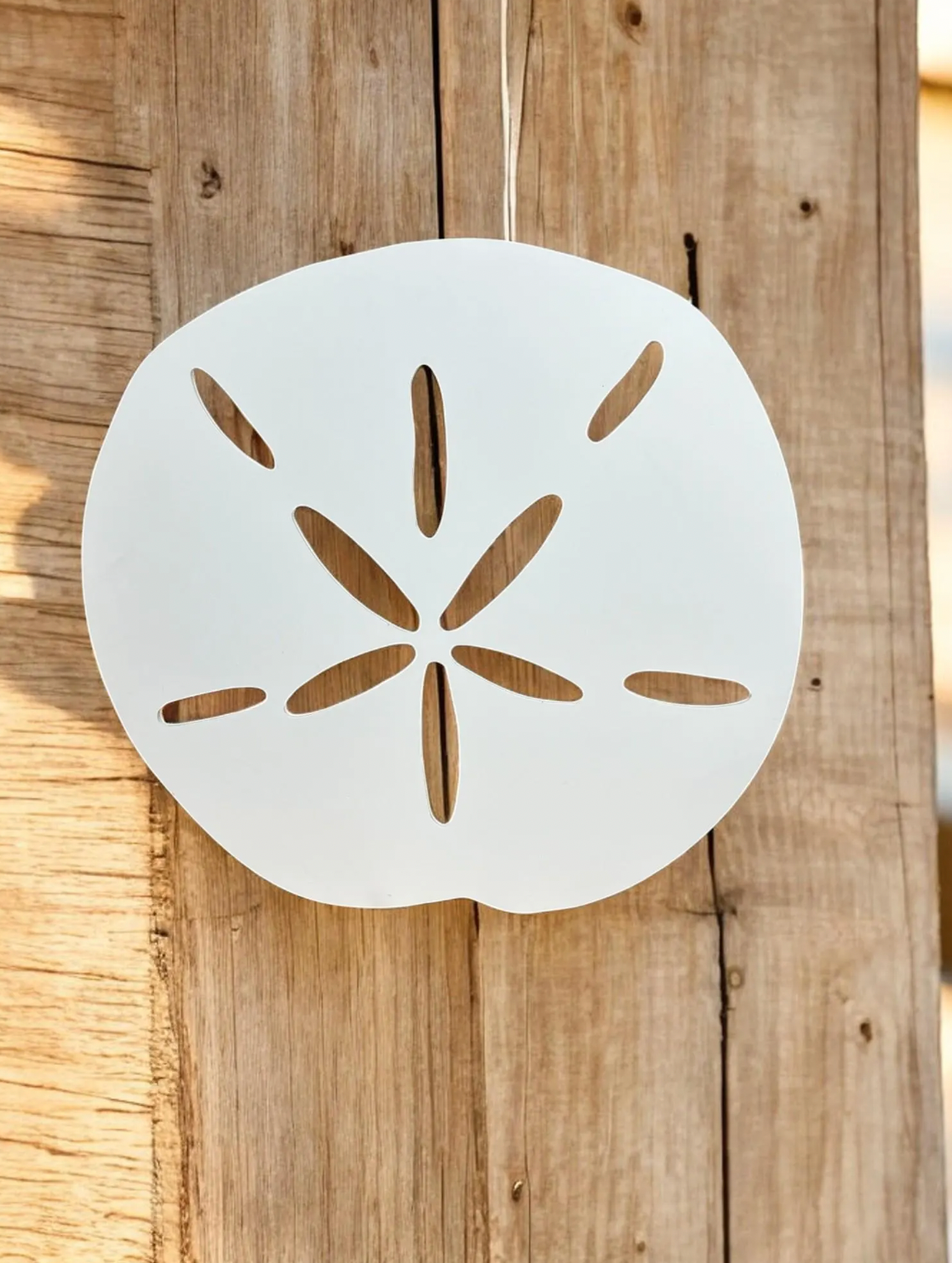Sanddollar Option