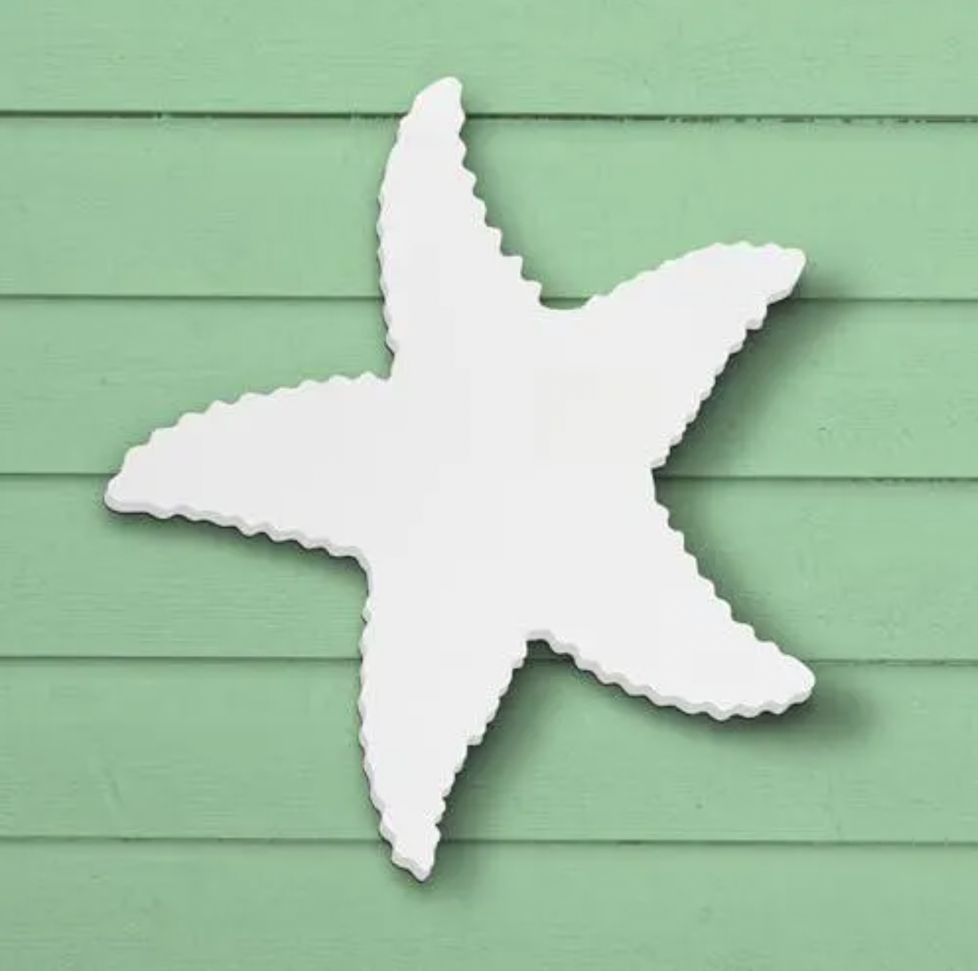 Outdoor Starfish