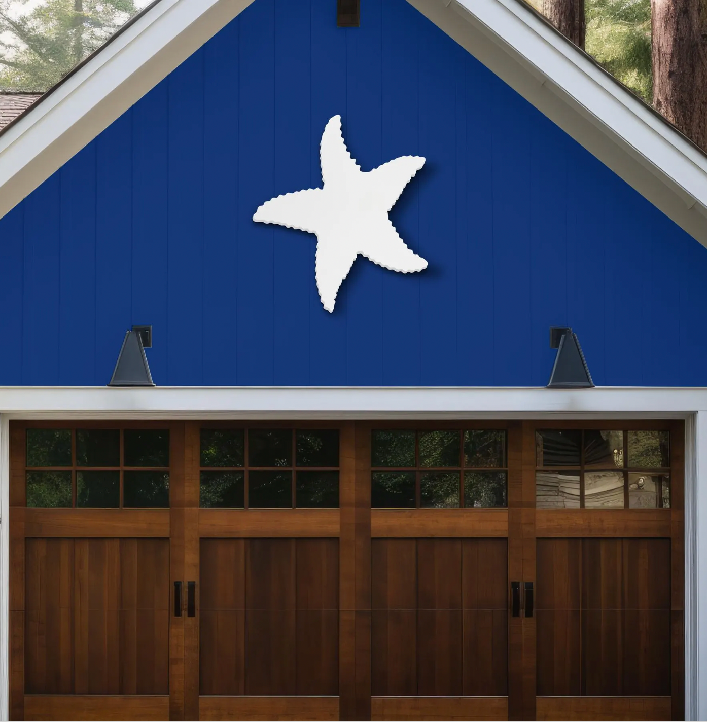 Outdoor Starfish
