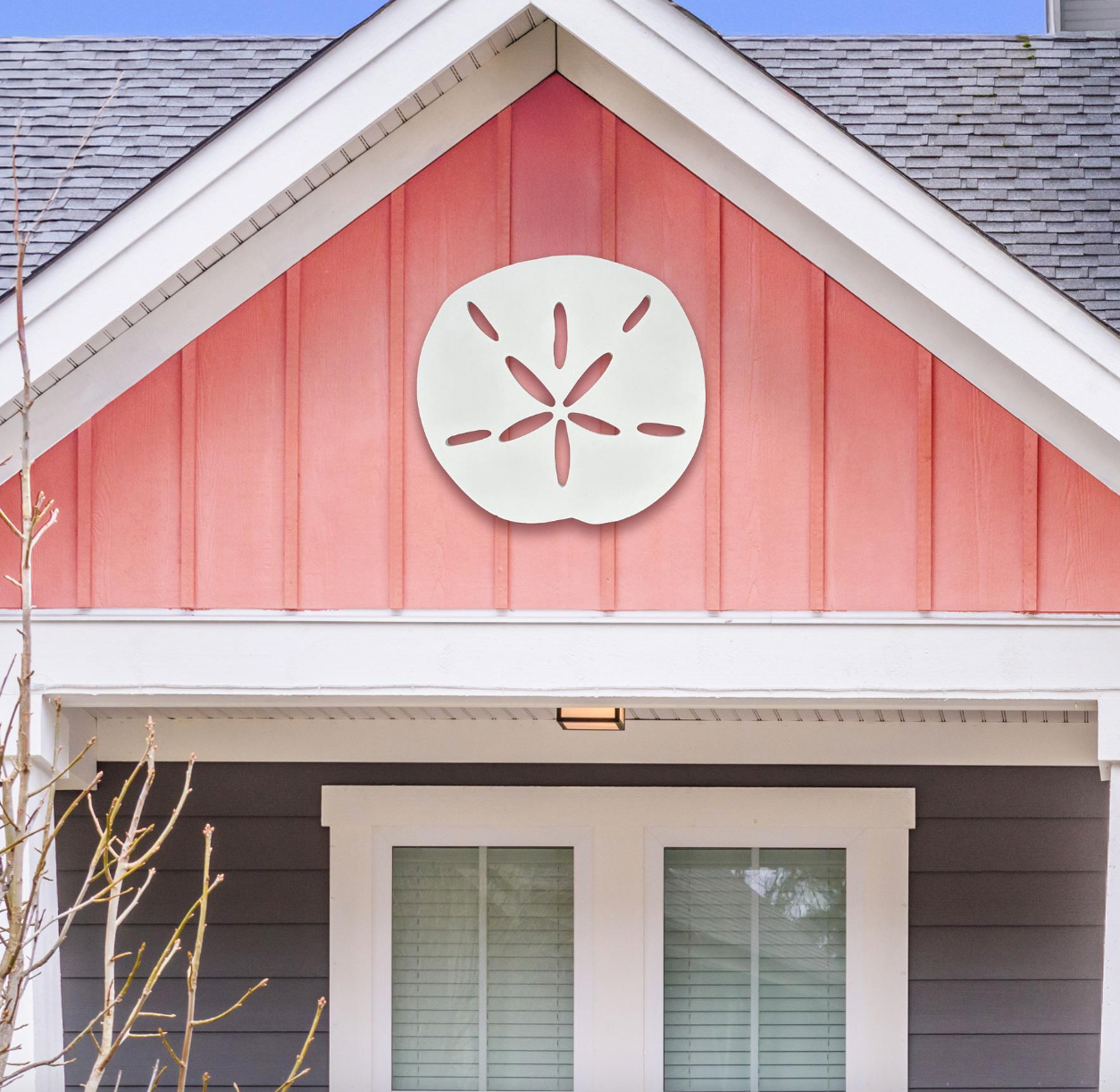 Sanddollar Option