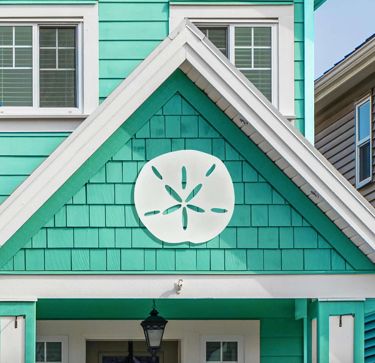 Sanddollar Option